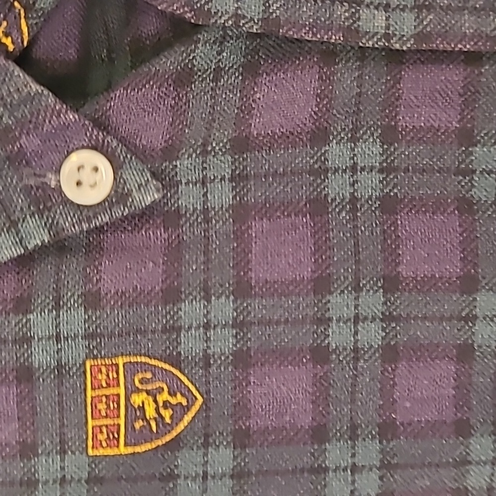 RALPH LAUREN Crest Green Gold Plaid Cotton XXL Mens Long Sleeve Shirt 90s RARE - Picture 4 of 9